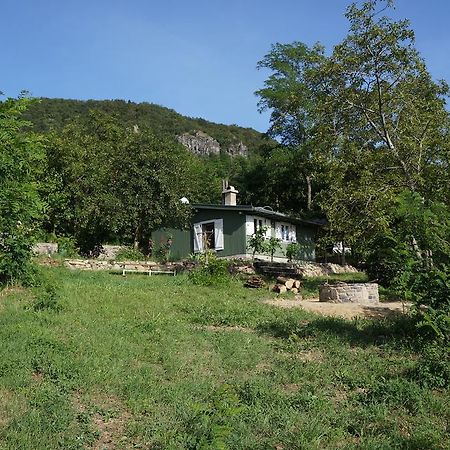 Badacsony Vendeghaz Villa Badacsonytördemic Oda fotoğraf