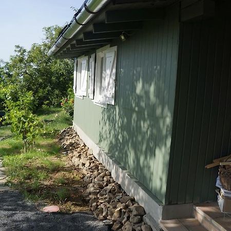 Badacsony Vendeghaz Villa Badacsonytördemic Oda fotoğraf